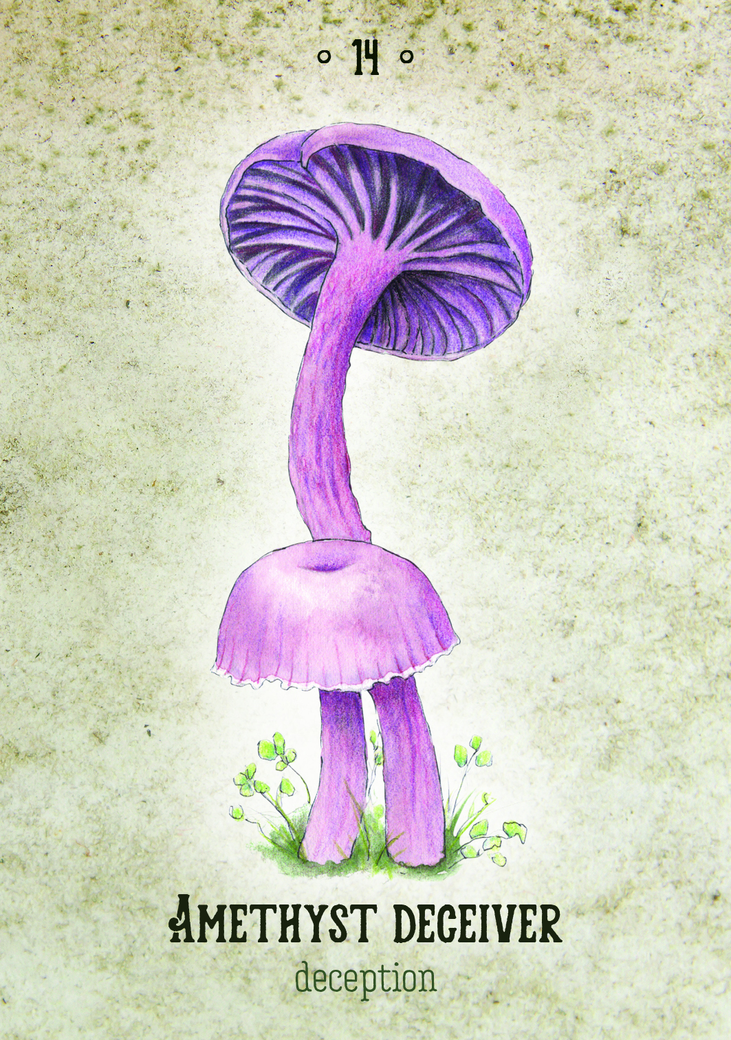 Mushroom Spirit Oracle Cards